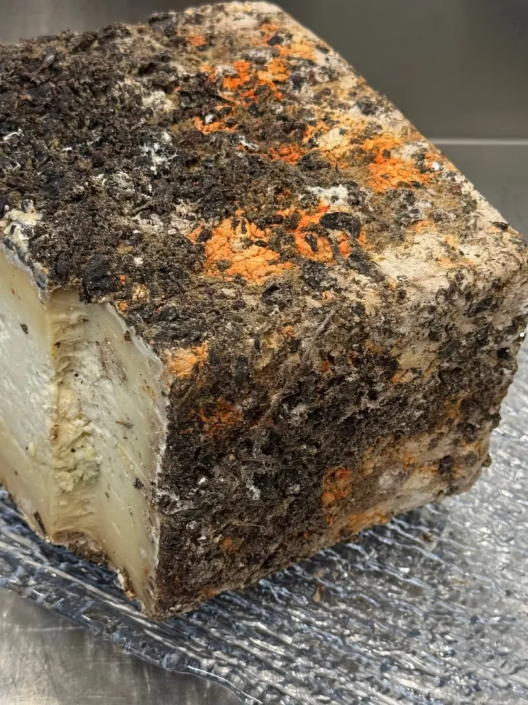 forma di formaggio stagionato e speziato